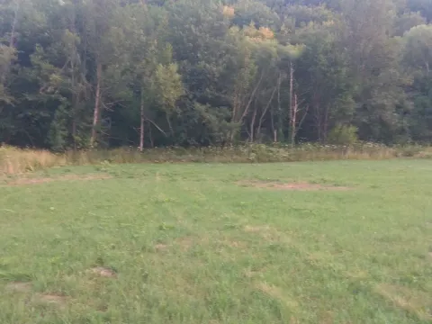 Prodaja, plac, 10000m², Kolašin, Crna Gora - image 8