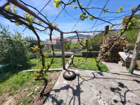 Dvorište sa vinovom lozom i pogledom na okolne kuće. - image 2