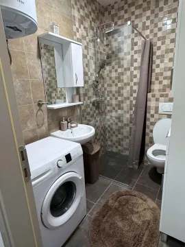 Bathroom equipped with a shower cabin, washbasin, toilet, and washing machine. - image 13