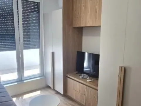 Izdavanje, jednosoban stan, 35m², Veternik, Novi Sad Sve Podlokacije - image 5