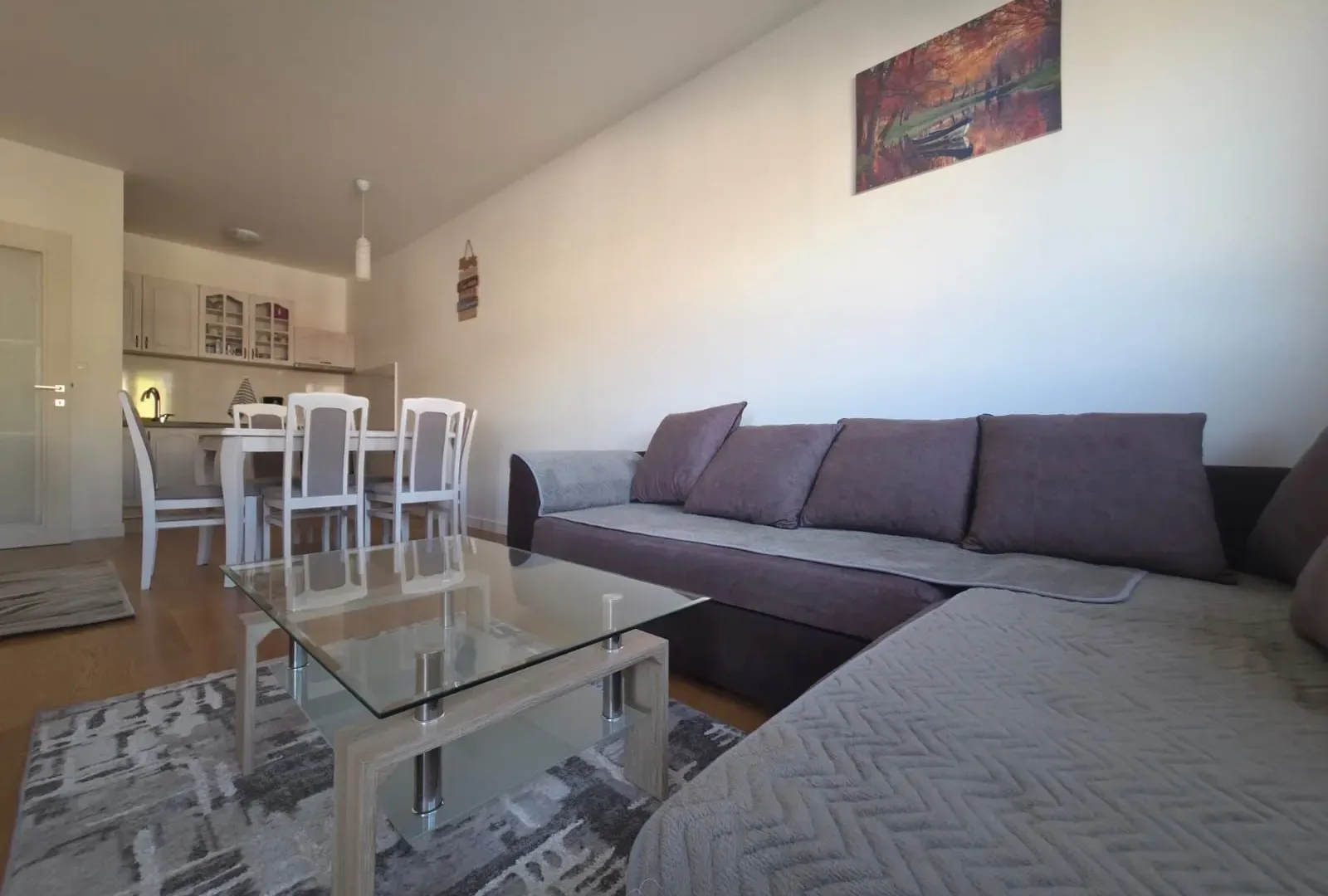 Rent, one bedroom apartment, 49m², Central Point, Podgorica