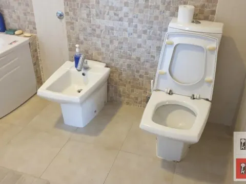 Rent, house, 1000m², Kać, Novi Sad Sve Podlokacije - image 38