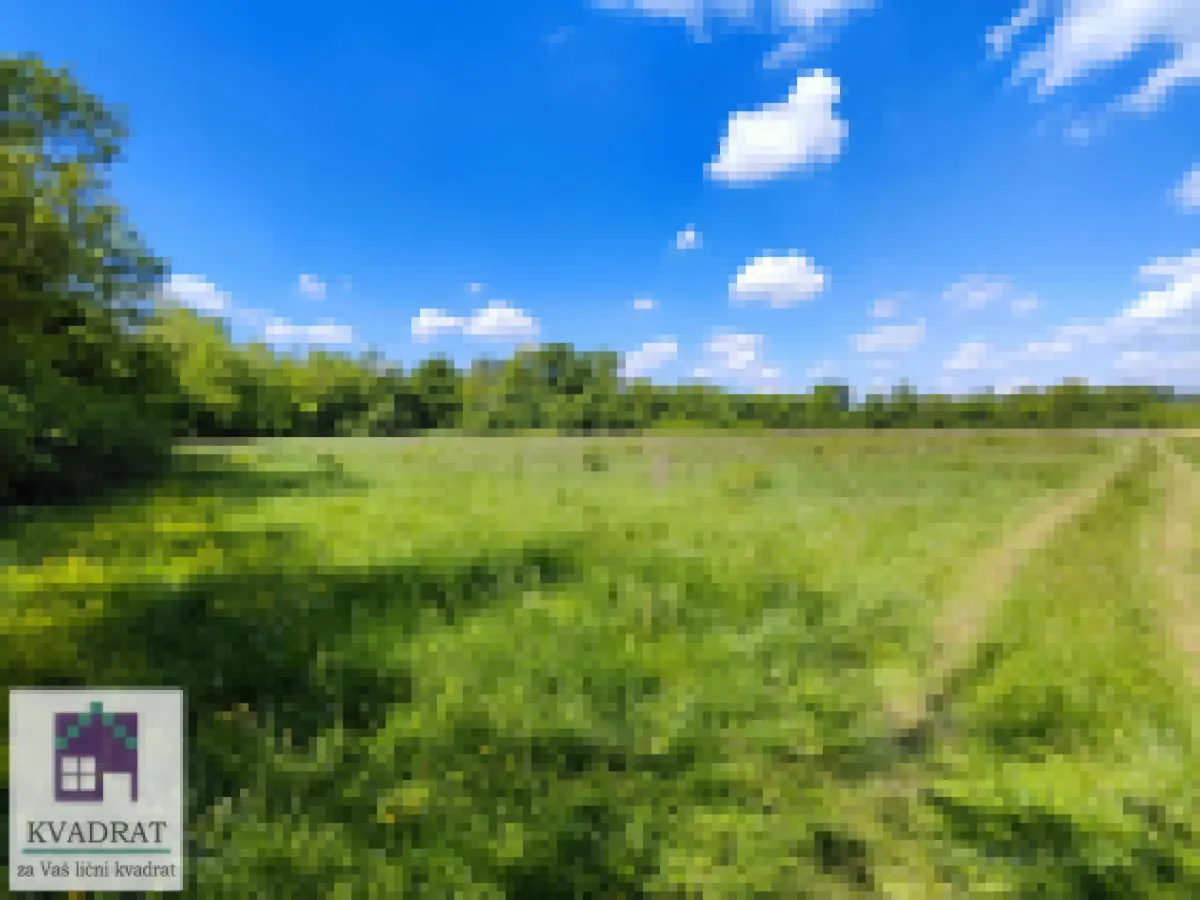 Prodaja, plac, 5500m², Draževac, Obrenovac