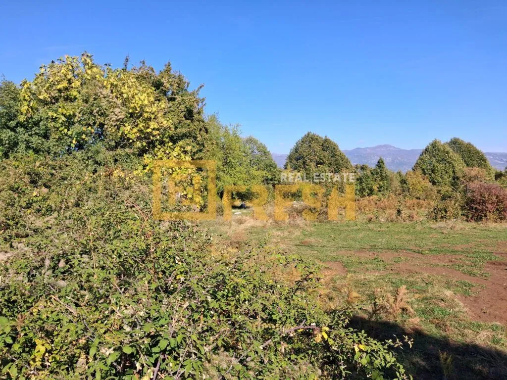 Pogled na zeleno dvorište i okolno rastinje.