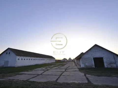 Prodaja, plac, 980m², Vrbas, Novi Sad - image 2