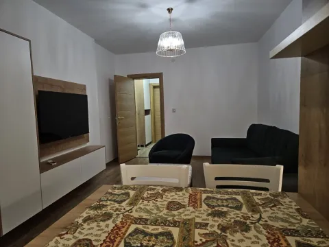 Izdavanje, jednosoban stan, 40m², Preko Morače, Podgorica - image 4