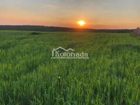 Prodaja, plac, 13000m², Nemenikuće, Sopot - image 7