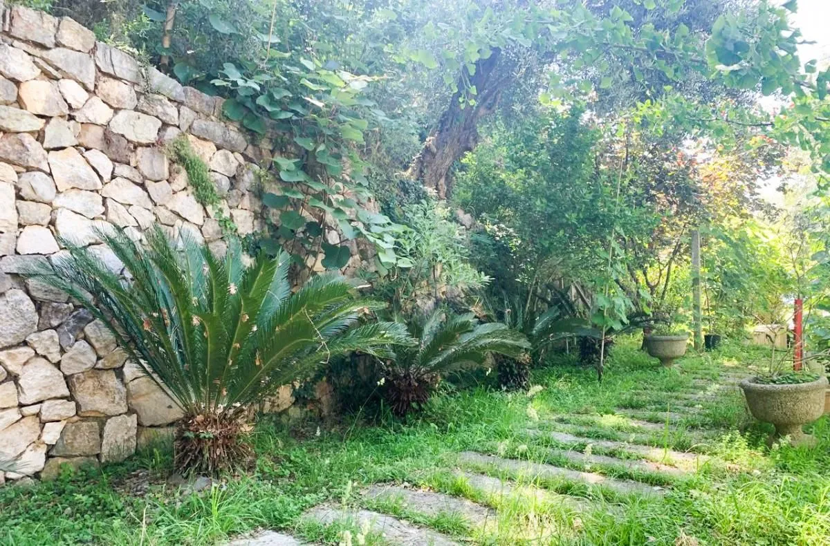 Prodaja, kuća, 350m², Prijevor, Budva