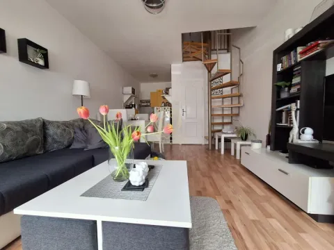 Prodaja, dvosoban stan, 50m², Telep, Novi Sad Sve Podlokacije - image 2