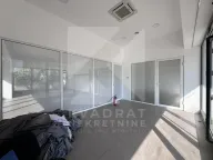 Izdavanje, poslovni prostor, 362m², Ljubović, Podgorica - image 7