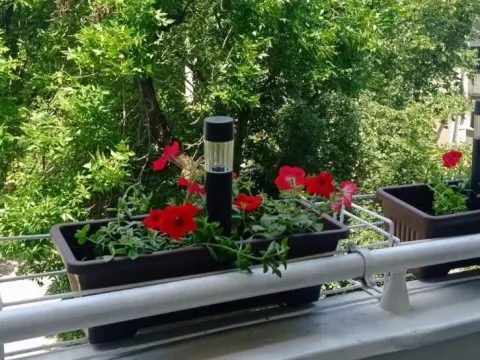 Prodaja, dvosoban stan, 46m², Detelinara, Novi Sad Sve Podlokacije - image 16