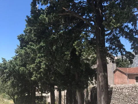 Sale, two bedroom apartment, 67m², Dobrota, Kotor - image 5