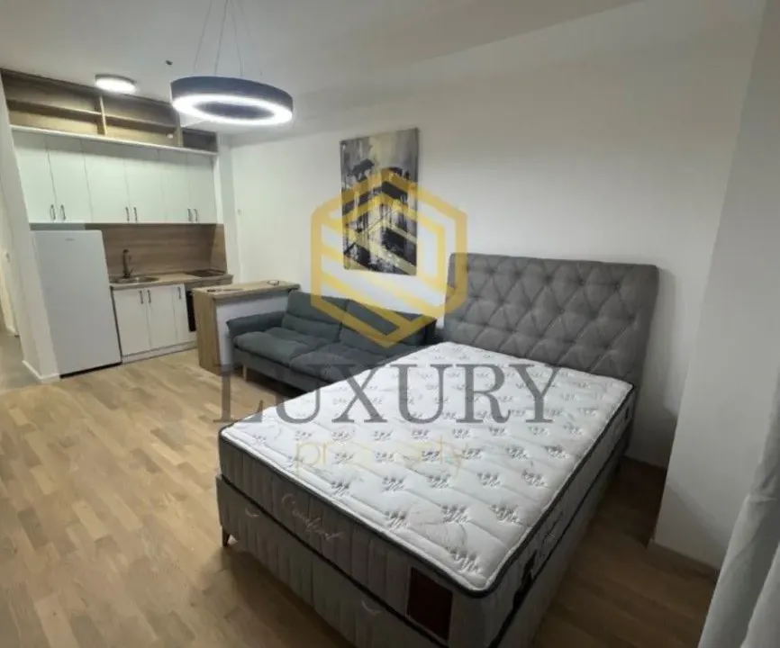 Izdavanje, garsonjera, 30m², Preko Morače, Podgorica