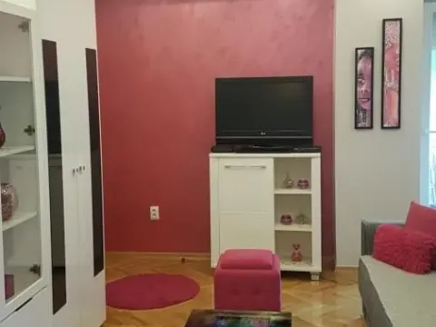 Izdavanje, dvosoban stan, 55m², Betanija, Novi Sad Sve Podlokacije - image 7