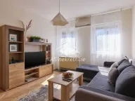 Izdavanje, dvosoban stan, 55m², Palata Pravde, Beograd