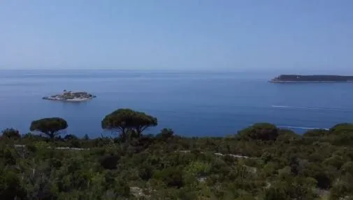 Prodaja, plac, 63000m², Luštica, Tivat