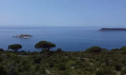 Prodaja, plac, 63000m², Luštica, Tivat