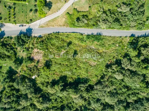 Prodaja, plac, 5652m², Dub, Kotor - image 6