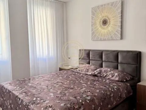 Izdavanje, dvosoban stan, 50m², Pantelej, Niš - image 4