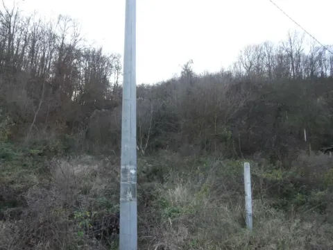 Sale, land lot, 4500m², Novo Lanište, Jagodina - image 3