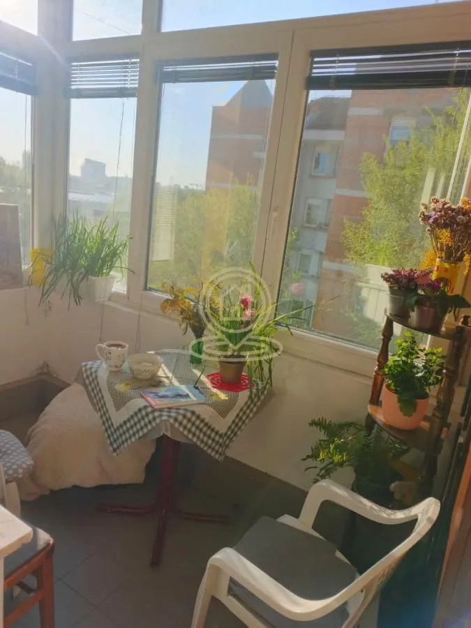 Izdavanje, dvosoban stan, 63m², Novo naselje, Novi Sad