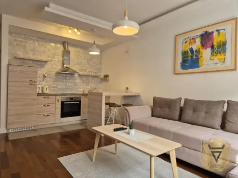 Izdavanje, dvosoban stan, 45m², Vračar Hram, Vračar Sve Podlokacije - image 2