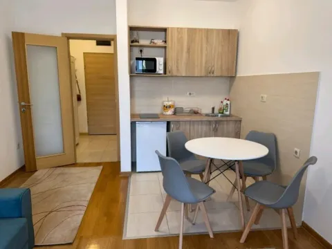 Izdavanje, garsonjera, 26m², Blok 6, Podgorica - image 3