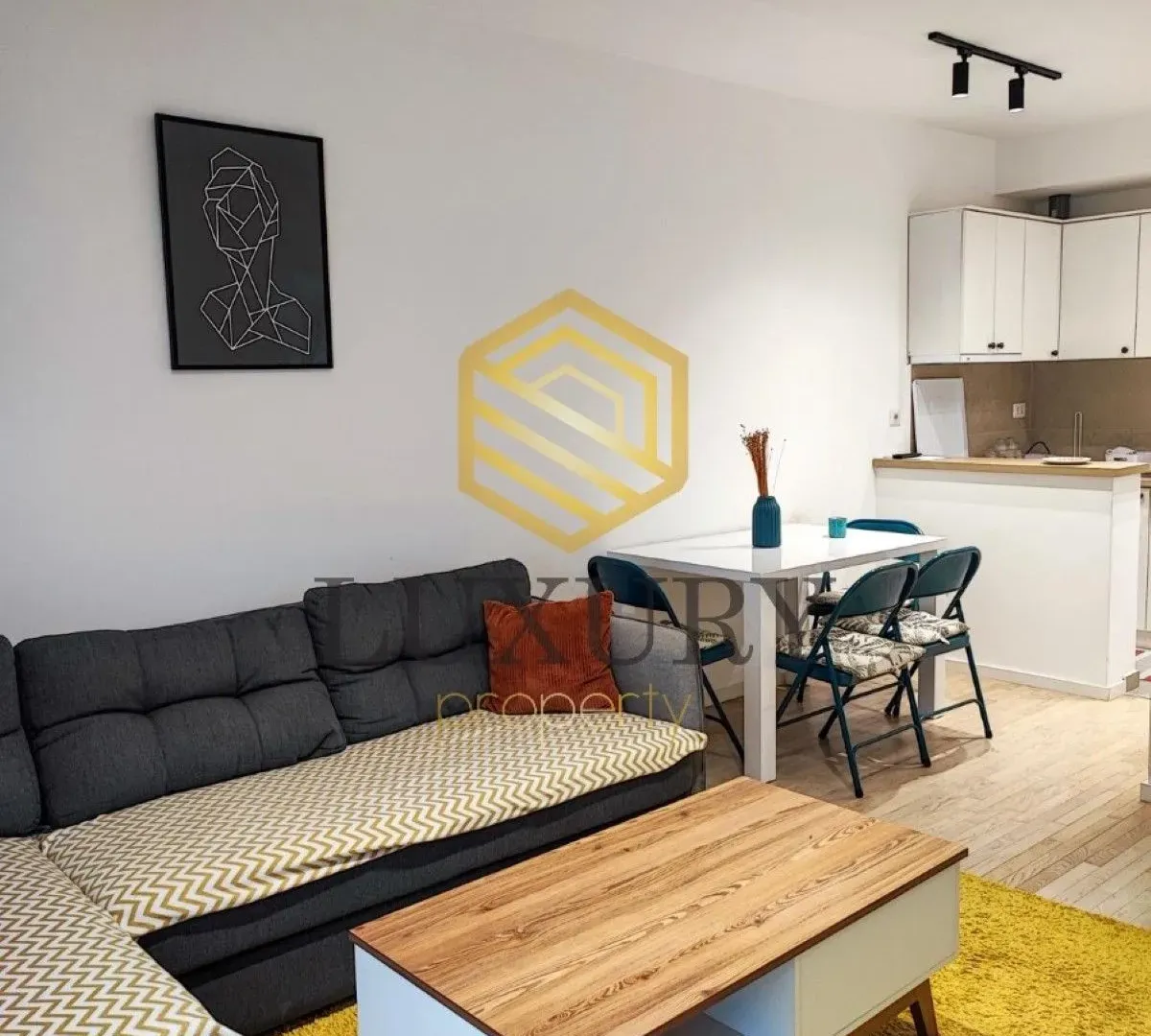 Rent, one bedroom apartment, 45m², Dalmatinska ulica, Podgorica