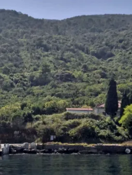 Pogled na zeleno šumovito brdo sa obale i kuće u daljini. - image 3