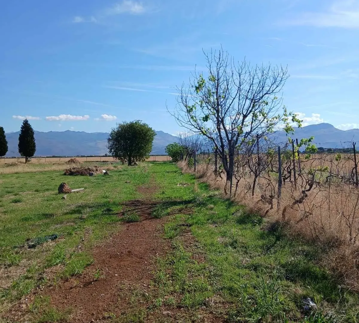 Prodaja, plac, 1562m², Kuće Rakića, Podgorica