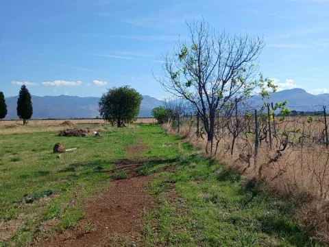 Prodaja, plac, 1562m², Kuće Rakića, Podgorica - image 7