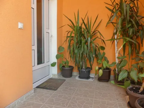 Prodaja, kuća, 450m², Levač, Jagodina - image 9