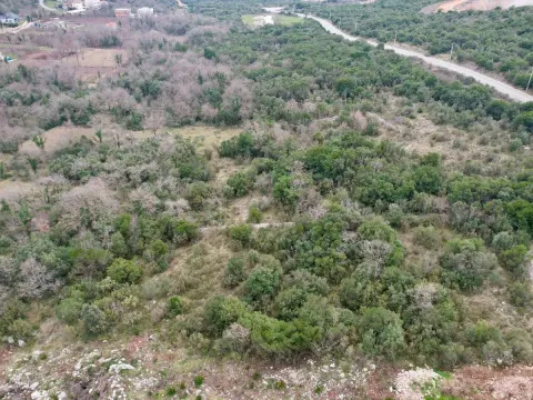 Sale, land lot, 1567m², Višnjevo, Kotor - image 11