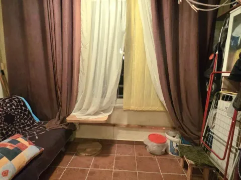 Prodaja, garsonjera, 29m², Centar, Budva - image 6