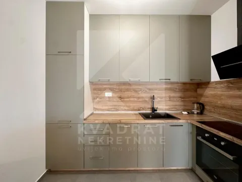 Pogled na moderno opremljenu kuhinju sa ugradnim elementima i drvenim detaljima. - image 10