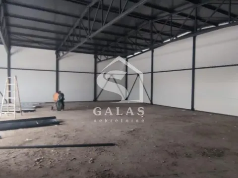 Izdavanje, poslovni prostor, 300m², Zvezdara Sve Podlokacije, Beograd - image 7