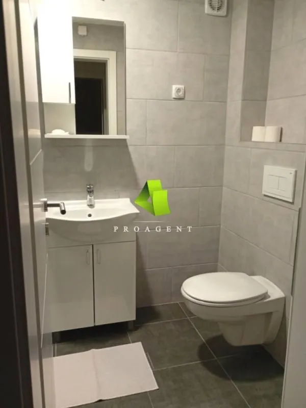Izdavanje, jednosoban stan, 47m², Ledena Stena, Niš