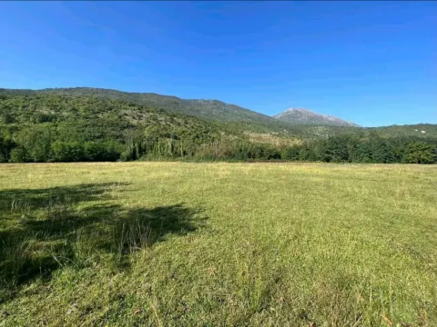 Prodaja, plac, 5181m², Ćurilac, Danilovgrad - image 2