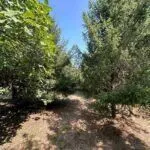 Prodaja, kuća, 140m², Gornja Gorica, Podgorica - image 27