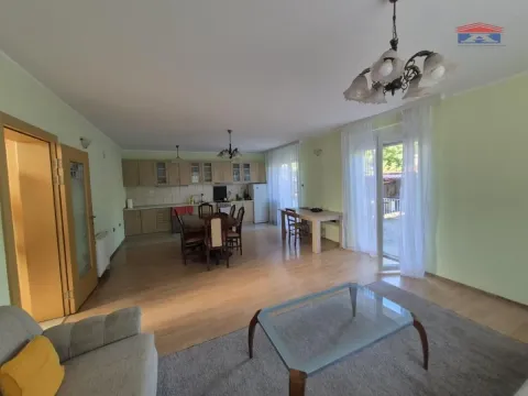Izdavanje, kuća, 253m², Sremska Kamenica, Petrovaradin - image 3