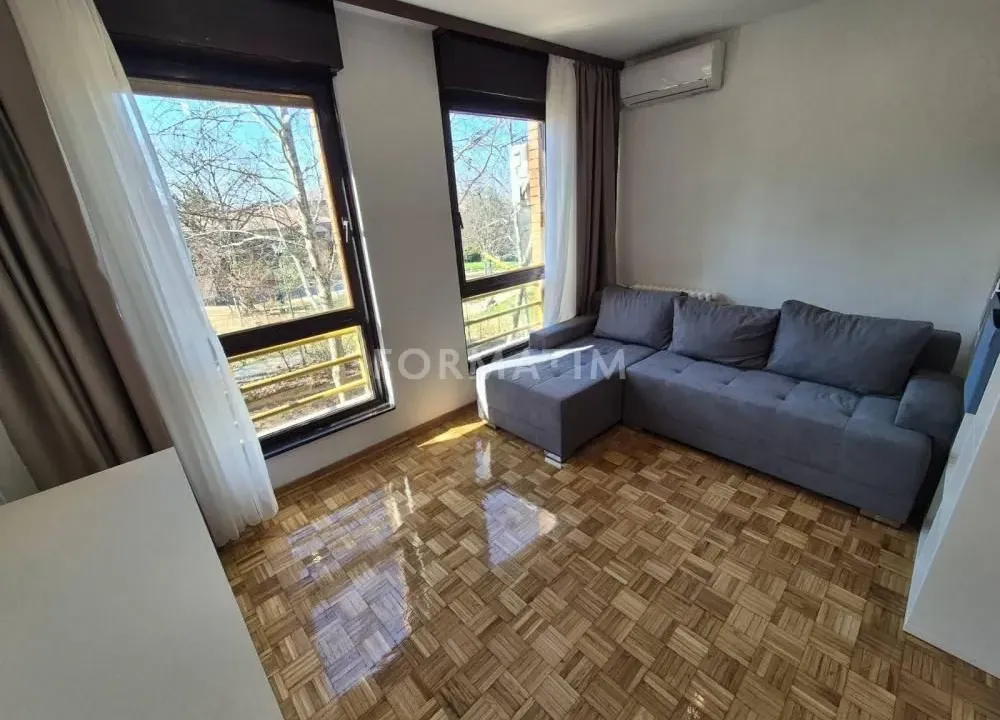 Rent, one bedroom apartment, 40m², Višnjička Banja, Palilula Sve Podlokacije