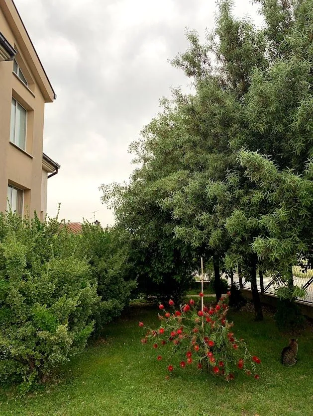 Izdavanje, kuća, 240m², Donja Gorica, Podgorica