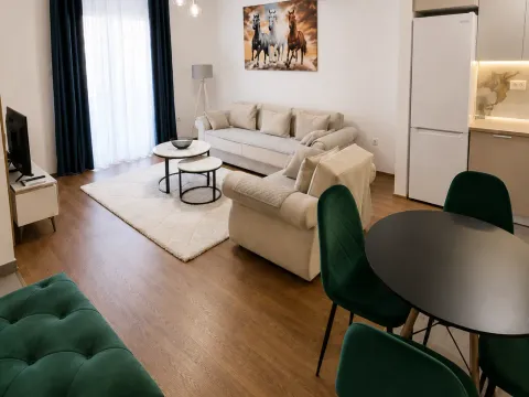 Rent, one bedroom apartment, 56m², Central Point, Podgorica - image 2