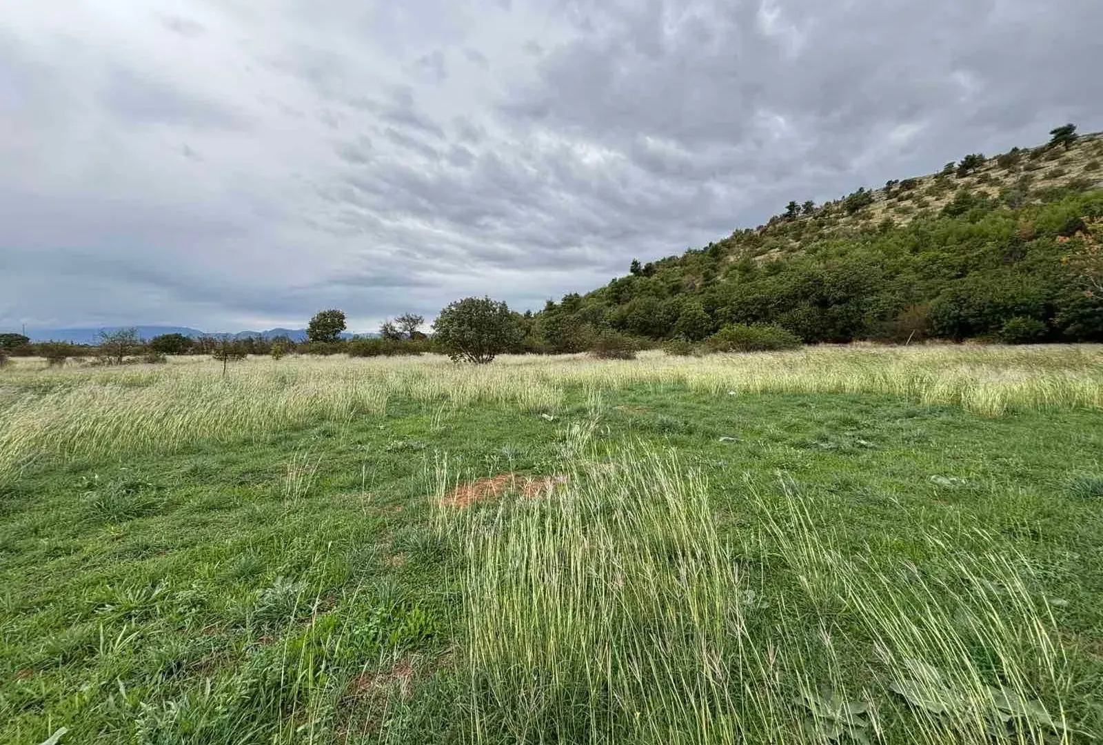 Prodaja, plac, 1903m², Zelenika, Podgorica
