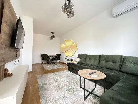 Rent, one bedroom apartment, 50m², Stara Varoš, Podgorica - image 2