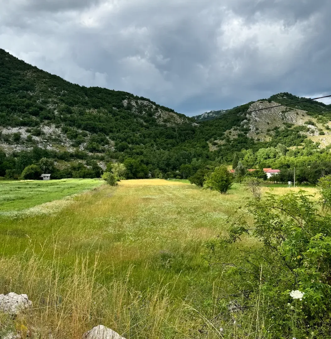 Prodaja, plac, 7004m², Grahovo, Nikšić
