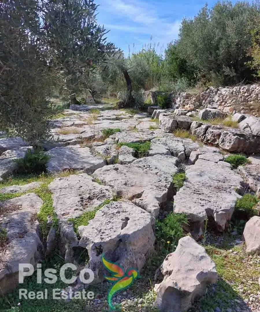 Prodaja, plac, Tivat, Crna Gora