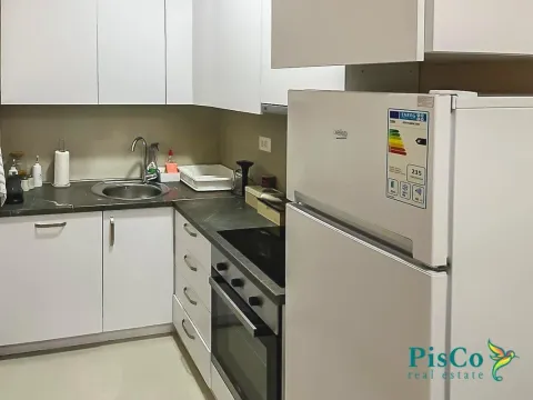 Izdavanje, jednosoban stan, 35m², Centar, Podgorica - image 9