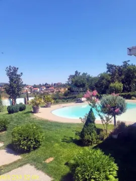 Pogled na dvorište sa bazenom i uređenim zelenilom. - image 7