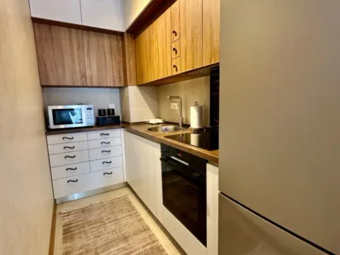 Izdavanje, jednosoban stan, 49m², Tološka šuma, Podgorica - image 6